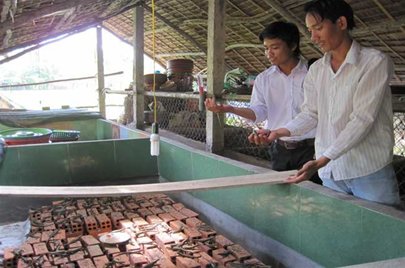 Nhờ nuôi rắn mối, anh Hồ Chí Linh (bên phải ảnh) mang về cho gia đình nguồn thu nhập cao - Ảnh: Trung Chánh